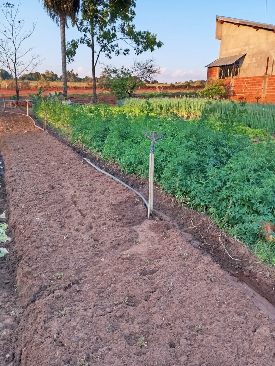 Campo IrrigaBot